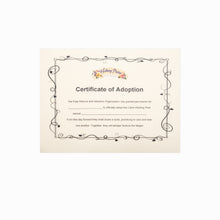 Load image into Gallery viewer, Wishing Pixies Gasur (boy)