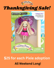 Load image into Gallery viewer, Cailin Wishing Pixie (girl doll)